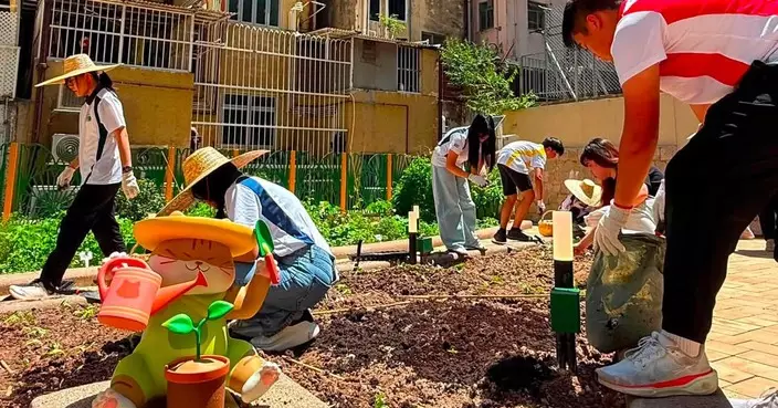 中西區「城市耕作」工作坊啟動 少年警訊變身小農夫