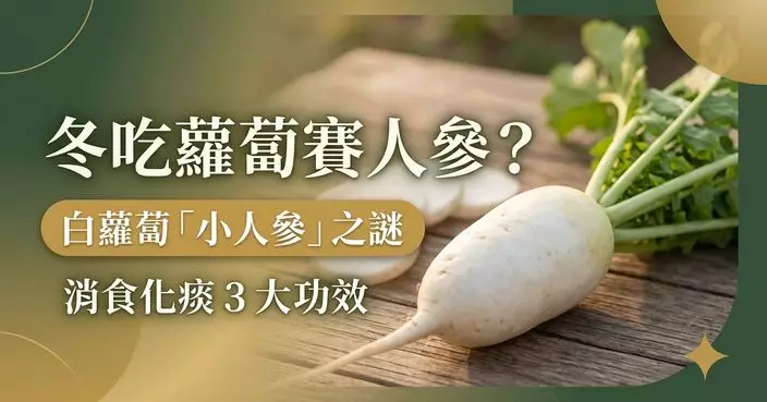 白蘿蔔為何被稱為「小人參」？消食化痰有一套 惟並非人人適合