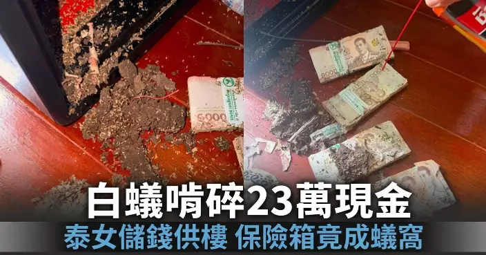 泰女辛苦儲逾23萬現金供樓 放保險箱不足1個月遭白蟻啃成碎片