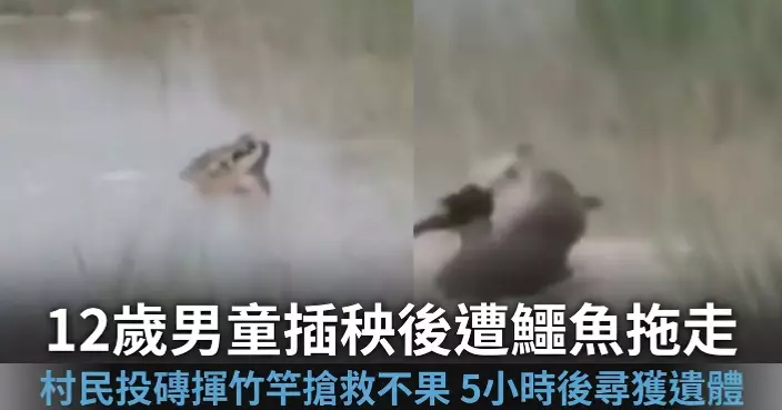 印度男童插秧後落河清洗遭鱷魚猛咬拖走 遺體5小時後被尋回