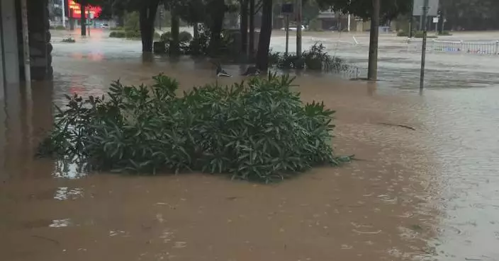 颱風米沙克襲華南帶來強降雨大風 多地受嚴重影響