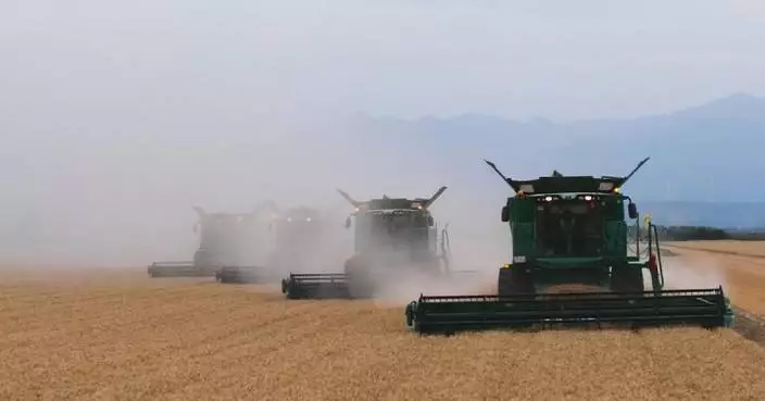 中國夏季糧食收成首次突破1.5億噸