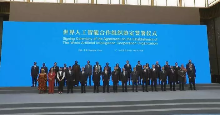 29國簽署協議 成立世界人工智能合作組織