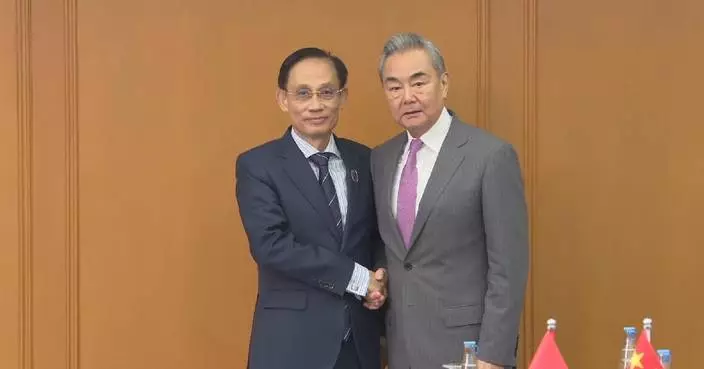 中國外長：中越應加強團結合作