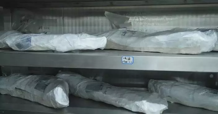 三星堆博物館逾600根象牙遷新儲存設施 提升文物保護水平