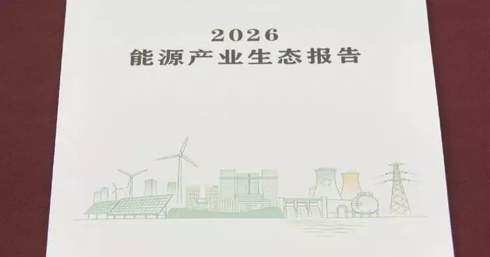 中國風電太陽能發電容量首超火電 報告指核能生物質能達世界領先