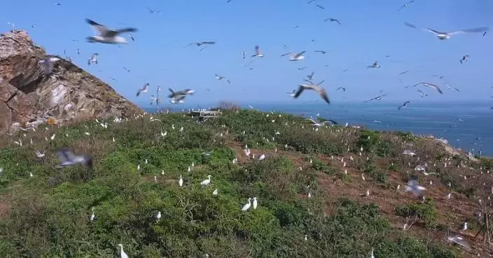 中國長山群島列世界自然遺產名錄 候鳥棲息地再擴大
