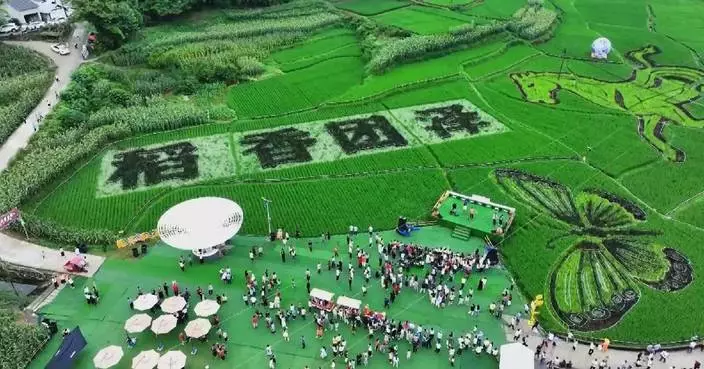 貴州團澤鎮善用鄉村特色 打造夏季旅遊熱點