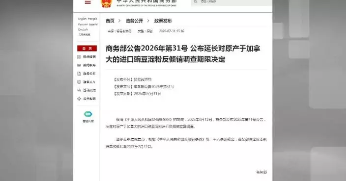 中國延長對加拿大豌豆澱粉反傾銷調查