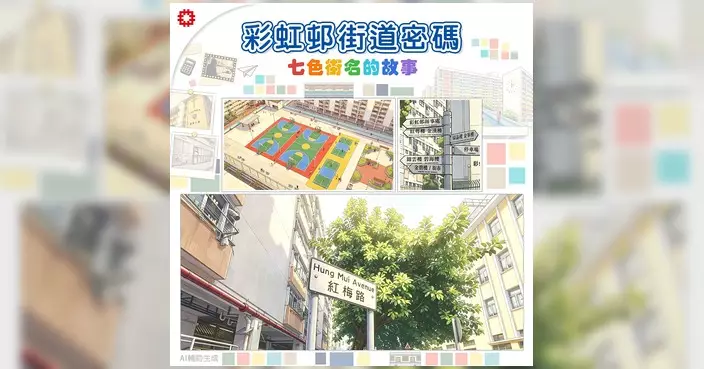 彩虹邨七色街名藏巧思 房委會部署重建保育並存