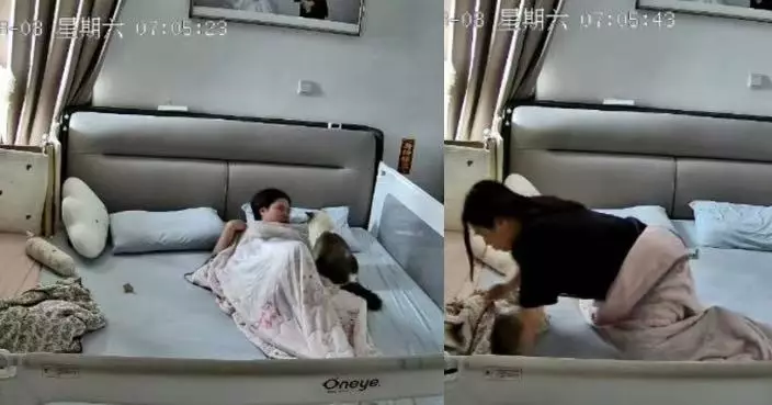 嬰兒翻身誤將毛毯蓋頭 機警貓咪多番施救不果急喚醒主人救一命