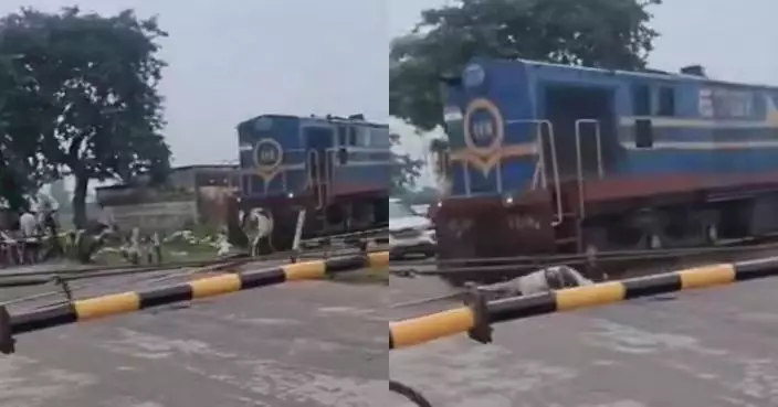 闖路軌遭高速列車駛來撞擊 印度牛隻數秒後自行站起奇蹟冇事