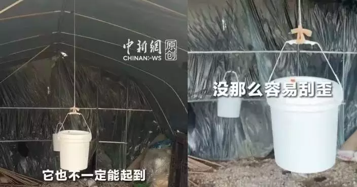 民間智慧！江蘇菜農自製「水桶阻尼器」抗颱風 成功捱過「白海豚」
