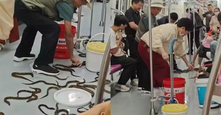 南京大叔地鐵內倒瀉一桶黃鱔 數十條滿地爬 熱心乘客幫手逐條捉回