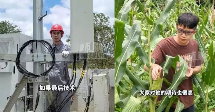 棄百萬年薪離職返鄉賣粟米？ 華為「天才少年」透露將赴瑞典讀博士後