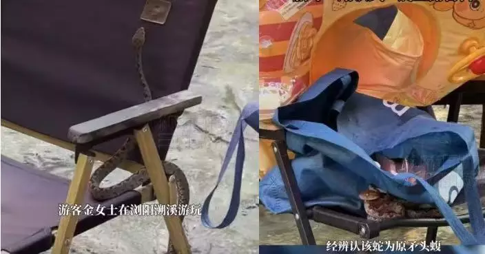 溯溪休息遇毒蛇爬露營椅 湖南女及時遠離幸無受傷 專家警告高溫雨後蛇類活躍