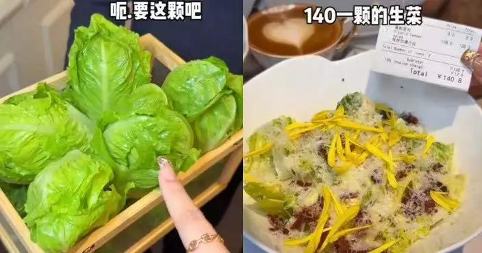 一棵羅馬生菜配少量煙肉芝士 上海人氣餐廳沙律售價近150蚊惹議