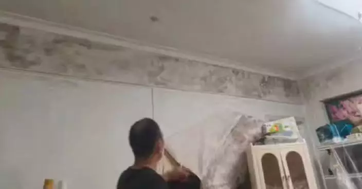 家人反覆身體不適 深圳女掀租屋牆紙驚見大片霉斑 專家：或導致肺部感染
