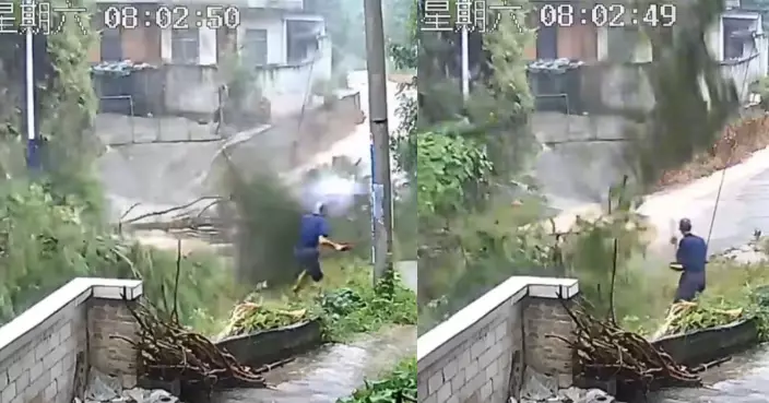 廣西山泥傾瀉近10棵大樹迎頭砸下 6旬翁「凌波微步」連環閃避毫髮無傷