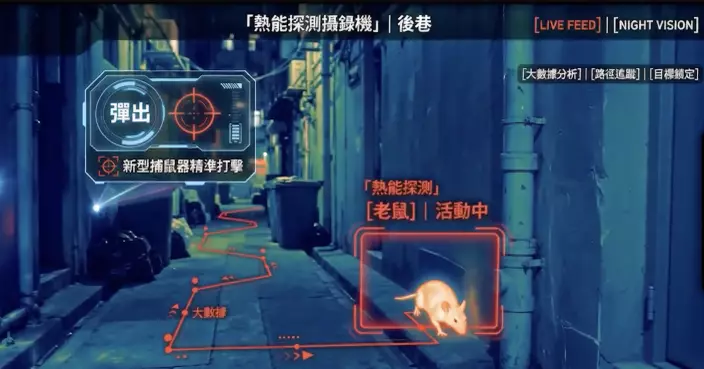 香港大數據｜巨鼠鬧市出巡 數據揭油尖旺深水埗鼠患較嚴重 食環署利用新科技重點打擊見成效