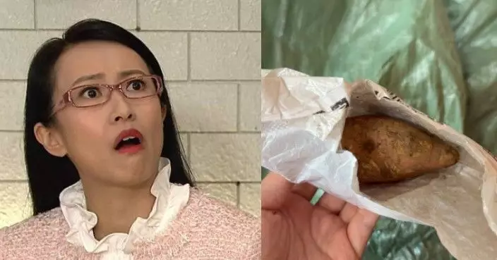 港女拼多多3蚊買熊公仔畀愛犬 收貨時竟變一食物笑爆網民