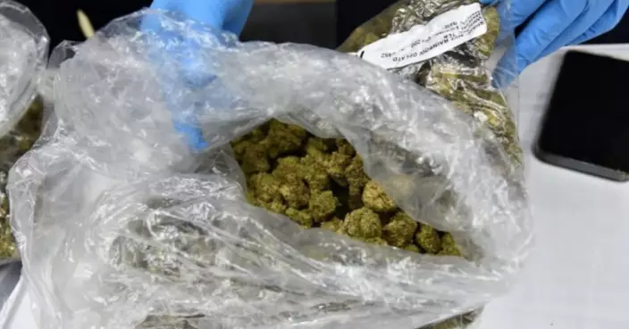 免費泰國度假變糖衣陷阱 法國青年遭利用帶篋出境中伏涉運毒