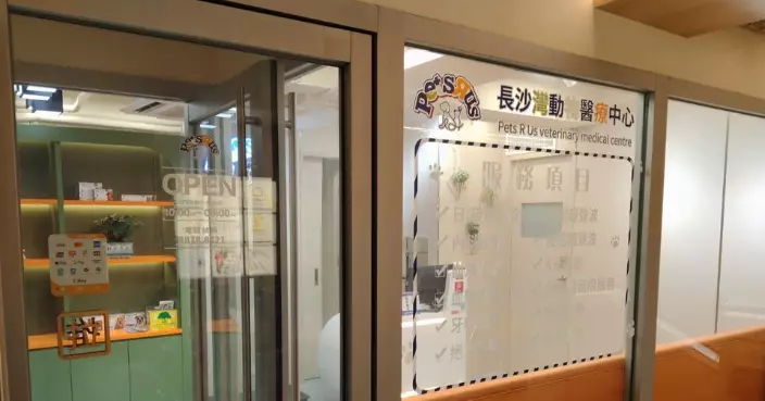 14歲男生帶受同學所托照顧起司貓求診 揭猫隻疑曾遭虐待致死被捕