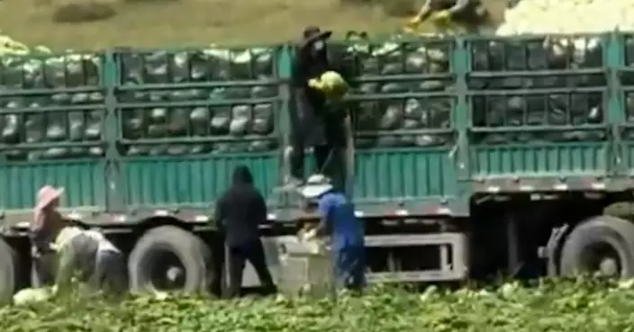河北「甲醛白菜」事件 國務院食安辦等三部門指導地方嚴查
