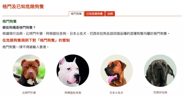 議員：當局應調查有否格鬥狗涉混種或走私　獸醫建議藉DNA測試確定品種