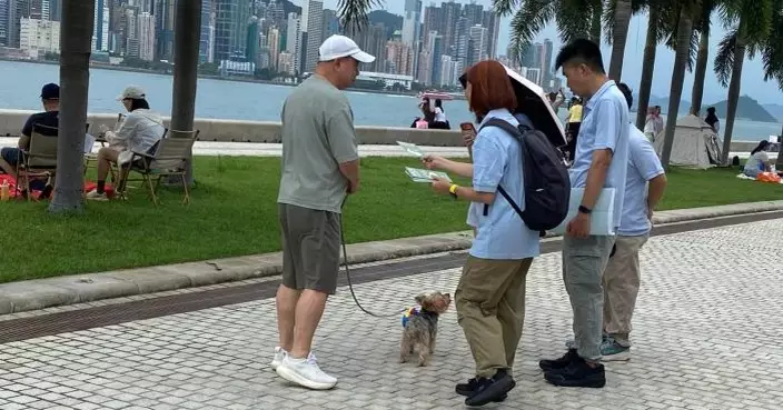 議員倡追截走私格鬥狗隻源頭　動物組織指近月棄養狗隻個案上升
