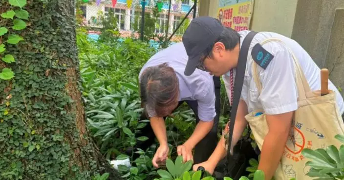 食環署公布八月份第五批白紋伊蚊誘蚊器指數 上環及西營盤蚊患指數最高