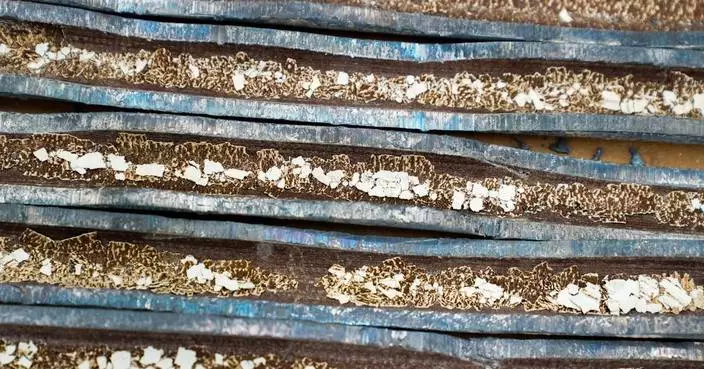 密歇根州總檢察長發布弗林特水危機報告 稱已盡問責職責