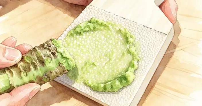 你食嘅壽司Wasabi 9成根本唔係山葵! 而係辣根!?
