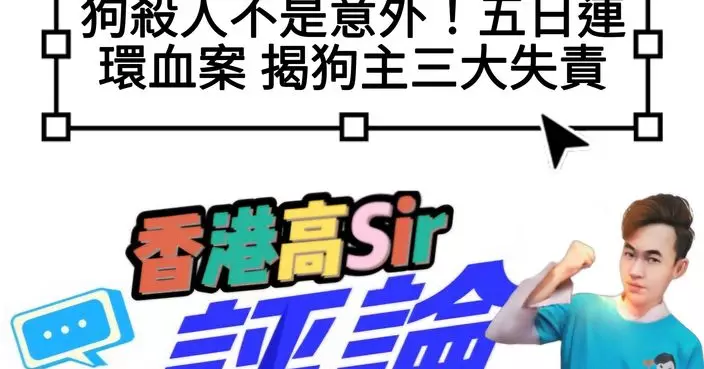 狗殺人不是意外！五日連環血案 揭狗主三大失責
