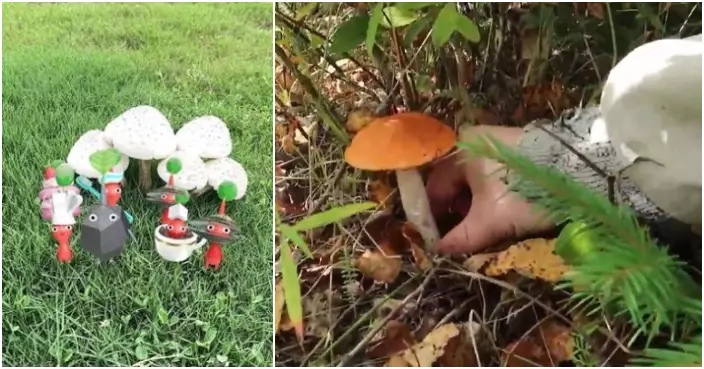 元朗招「蘑菇採摘員」冷氣房摘蘑菇月薪2萬 網民：識玩《皮克敏》得唔得？