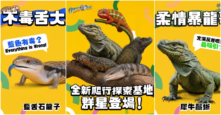 海洋公園新展館「爬行探索基地」周五登場 雲集各地珍貴爬行類動物