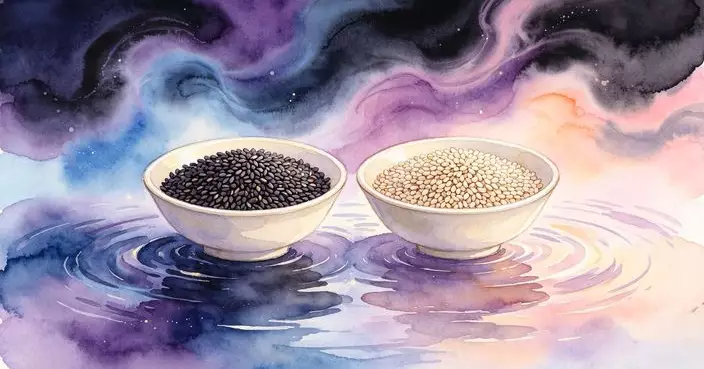 芝麻原來有二千幾年歷史！究竟點山長水遠來到大家面前？