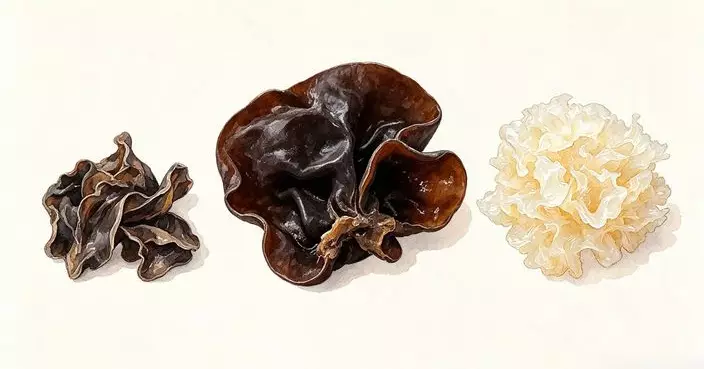 雲耳、木耳同雪耳，究竟點解有毒? 點煮先安全?