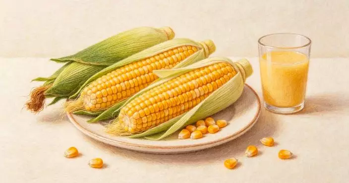 超甜粟米是基因改造?點解減肥吃粟米竟然越食越肥？