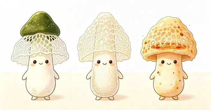 竹笙真身係惡臭網狀真菌!? 但點解好味又有營養!