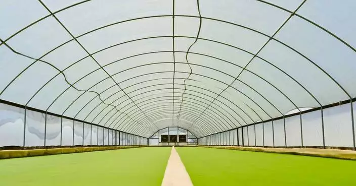 X-Caliber鄉村資本為Plantible Foods德州擴建提供2500萬美元USDA融資