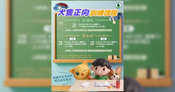 漁護署犬隻正向訓練課程免費報名 小班教學名額有限先到先得