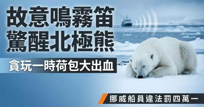 故意鳴霧笛吵醒熟睡北極熊 挪威船員違反環境法遭重罰4.1萬