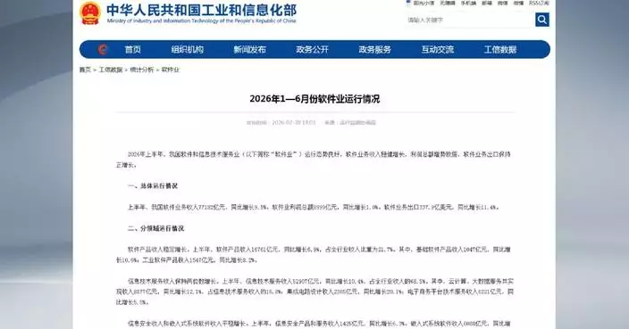 中國上半年軟件收入增9.5%