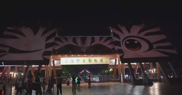 上海旅遊節活動豐富 吸引全球旅客參與