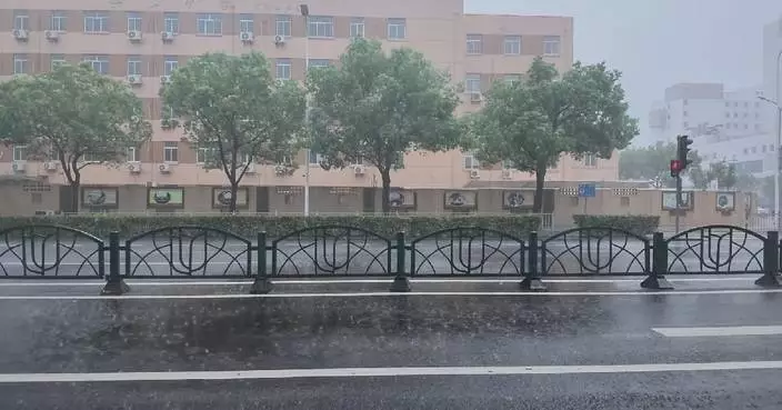 颱風「白海豚」吹襲上海 帶來狂風暴雨