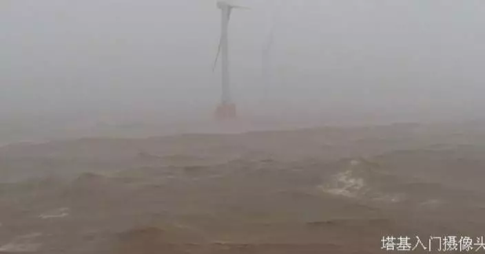 華電玉環海上風電場錄得颱風白海豚吹襲