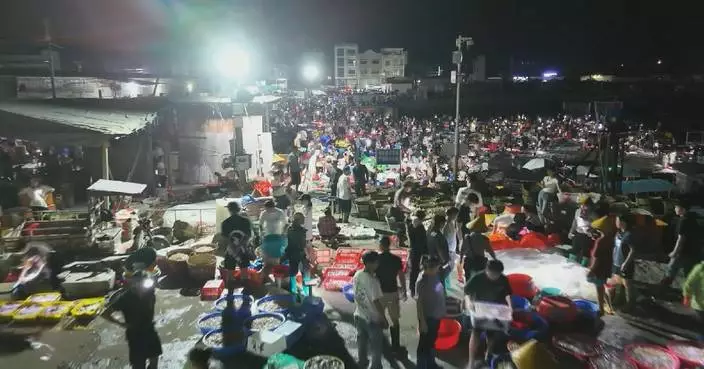 南海休漁期結束漁船滿載而歸 海鮮市場熱鬧遊客體驗夜間捕魚