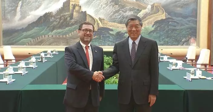 中國副總理何立峰會見智利外長