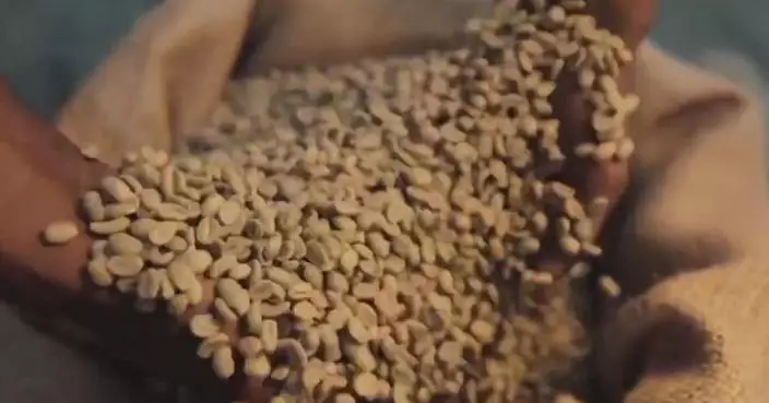 巴布亞新幾內亞專家：中國經驗助提升糧食安全 AI應用成關鍵
